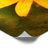 Poster Abeille Sur L'Oeil Noir Susan Flower Distressed Ar (Coin)