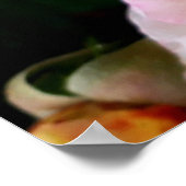 Poster Abeille sur roses rose jaune Fleurs (Coin)