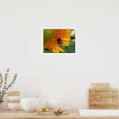 Poster Abeille sur tournesol I (Cuisine)