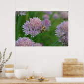 Poster Abeille sur une fleur (Cuisine)