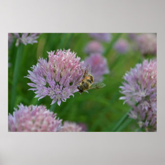 Poster Abeille sur une fleur