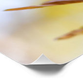 Poster Abeille sur une fleur de cerisier (Coin)
