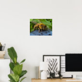 Poster Abeille sur une pierre (Bureau à domicile)