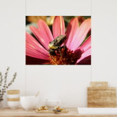 Poster Abeille sur une pluie (Cuisine)