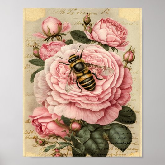 Poster Abeille vintage et roses roses roses (Devant)