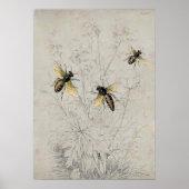 Poster Abeilles (Devant)