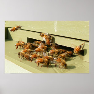 Poster Abeilles