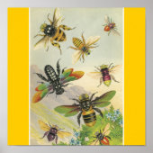 Poster Abeilles (Devant)