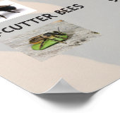 Poster Abeilles autochtones de Californie (Coin)