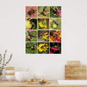 Poster Abeilles et guêpes (Cuisine)