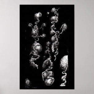 Poster Aberrations flottantes