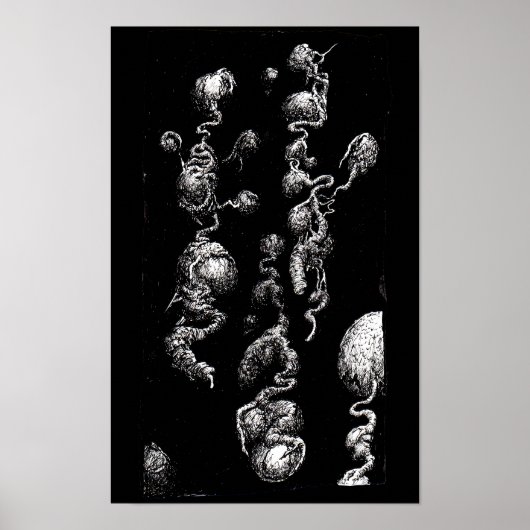 Poster Aberrations flottantes (Devant)