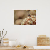 Poster Abey Happy (Cuisine)