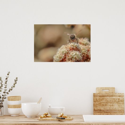 Poster Abey Happy (Cuisine)