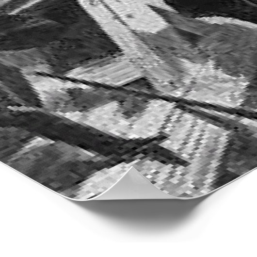 Poster ABH Fort Sumter (Coin)