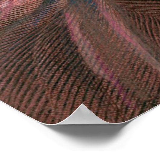 Poster Abigail Adams plus tard dans la vie, par Gilbert S (Coin)