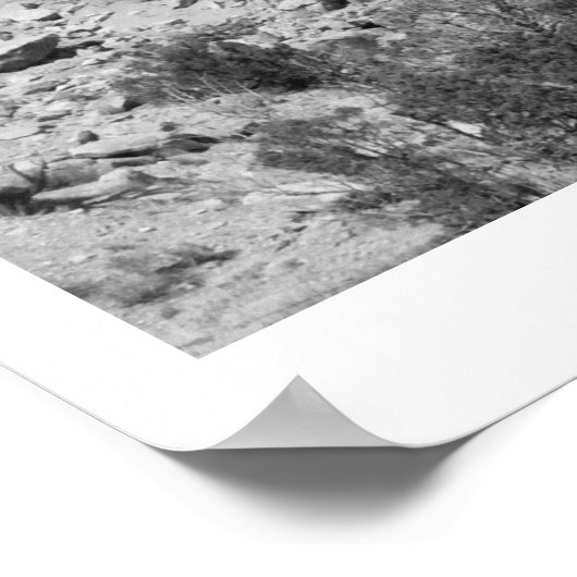 Poster Abiquiu V (Coin)