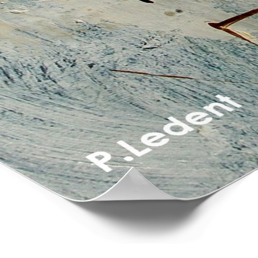 Poster ablisjjnjb (Coin)