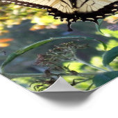 Poster Abondance de grâce (Coin)