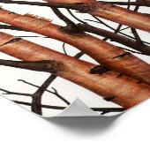 Poster abonné rojos (Coin)