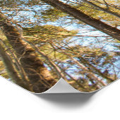 Poster  Above the Trees – Peaceful Nature Landscape (Coin)