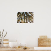 Poster  Above the Trees – Peaceful Nature Landscape (Cuisine)