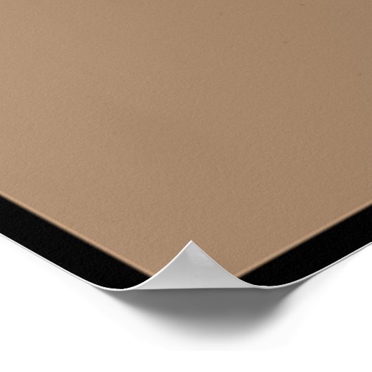 Poster Abraham Lincoln et son chat "Dixie" (Coin)