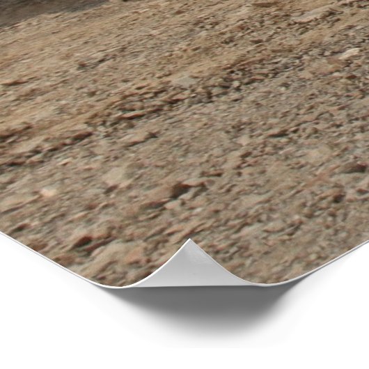 Poster Abrams M1A1 (Coin)