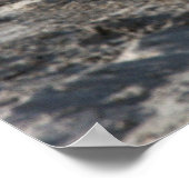 Poster Abrams M1A1 (Coin)