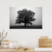 Poster Abri (Cuisine)