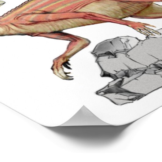 Poster Abrictosaurus - Portefeuille Jurassique Dinosaure (Coin)