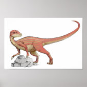 Poster Abrictosaurus - Portefeuille Jurassique Dinosaure (Devant)
