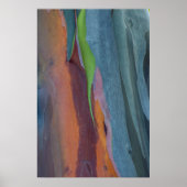 Poster Abstract de Rainbow Gum Tree (Devant)