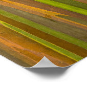 Poster Abstract d'Eucalyptus (Coin)