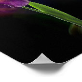 Poster Abstract Iris Flower – Elegant Floral Art (Coin)