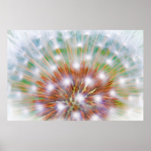 Poster Abstract of dandelion seed head