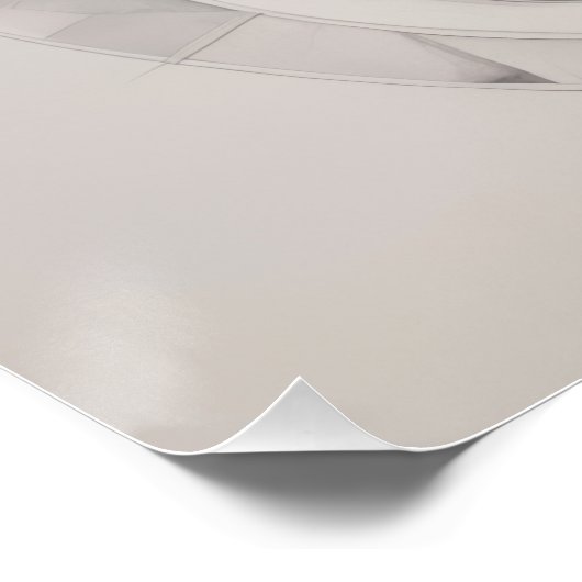 Poster Abstract white rose (Coin)