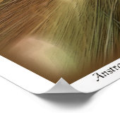 Poster Abstrait #30 (Coin)