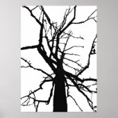 Poster Abstrait Arbre supérieur (Devant)