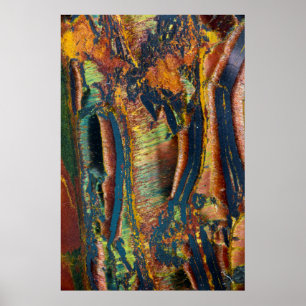 Poster Abstrait coloré d'un œil de Tigre