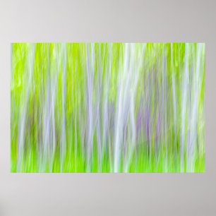 Poster Abstrait d'arbres d'Aspen   Yakima River Trail, WA