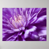 Poster Abstrait de fleurs violettes (Devant)
