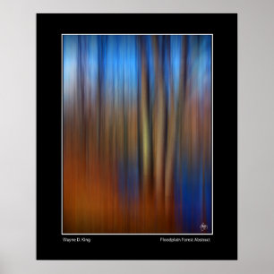 Poster Abstrait de la forêt de plaine d'inondation