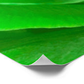 Poster Abstrait Emerald Green Rose Center Photographie (Coin)