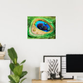 Poster Abstrait Macro Peacock Feather with Drops (Bureau à domicile)