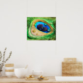 Poster Abstrait Macro Peacock Feather with Drops (Cuisine)