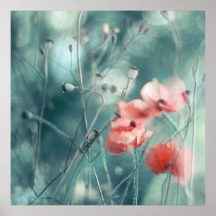 Poster Abstrait moderne Dreamy Pink Turquoises pies Flora