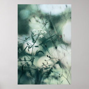 Poster Abstrait moderne Dreamy Soft Fleurs sauvages Turqu