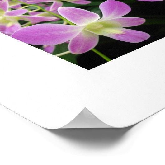 Poster Abstrait pourpre orchidée (Coin)