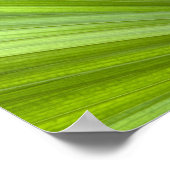 Poster Abstrait Tropical Green Palm Frond (Coin)